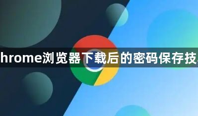 Chrome浏览器下载后的密码保存技巧1