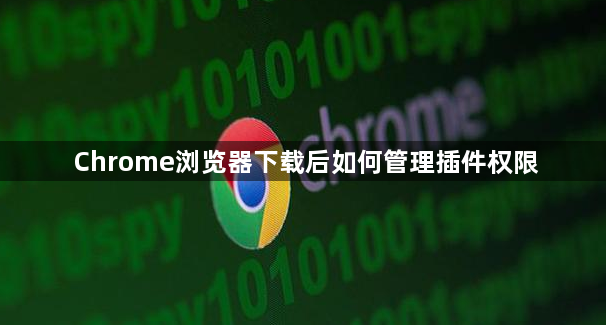 Chrome浏览器下载后如何管理插件权限1