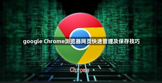 google Chrome浏览器网页快速管理及保存技巧1