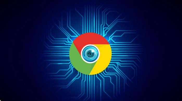 google Chrome浏览器下载工具使用经验解析