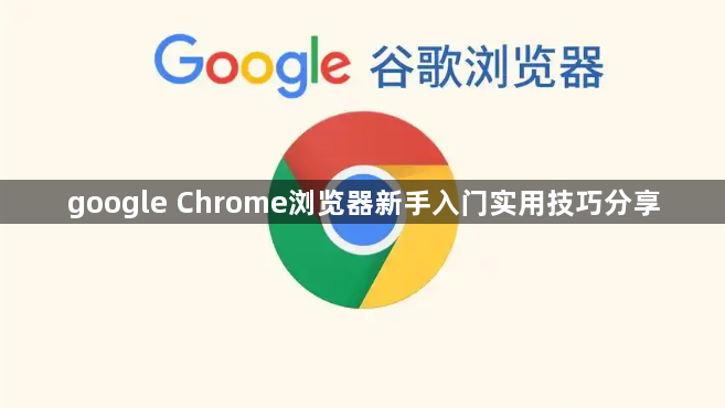 google Chrome浏览器新手入门实用技巧分享1