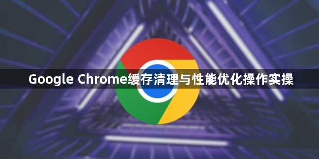 Google Chrome缓存清理与性能优化操作实操1