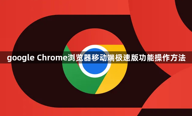 google Chrome浏览器移动端极速版功能操作方法1