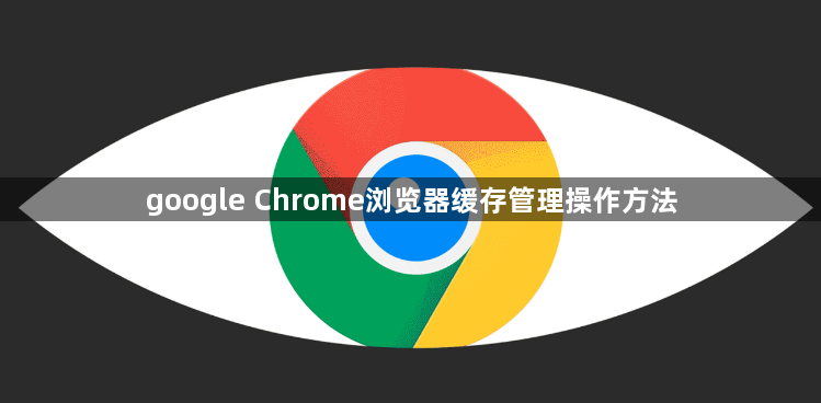 google Chrome浏览器缓存管理操作方法1
