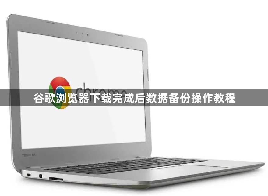谷歌浏览器下载完成后数据备份操作教程1
