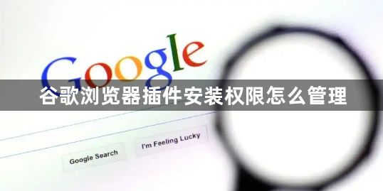 谷歌浏览器插件安装权限怎么管理1