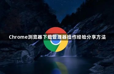 Chrome浏览器下载管理器操作经验分享方法1